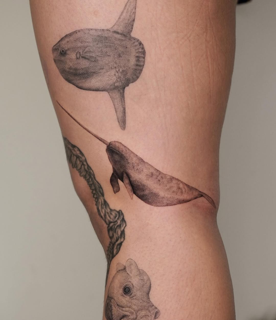 Graceful black-gray narwhal and sunfish in fluid motion