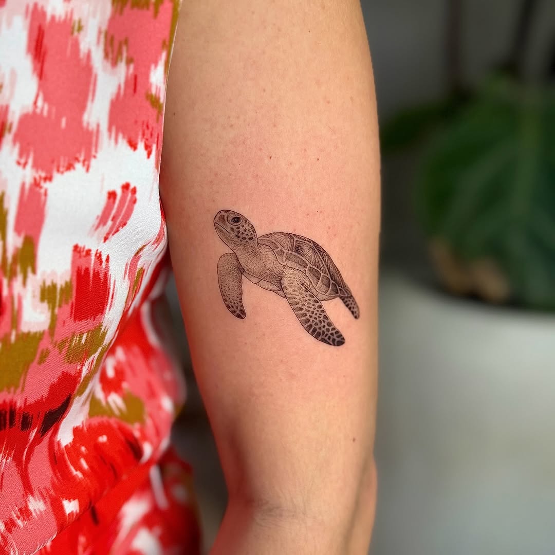 Delicate blackline sea turtle with fine shading.