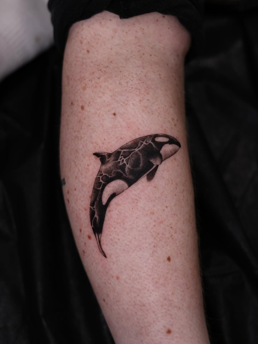 Sleek blackwork orca with water-like negative space