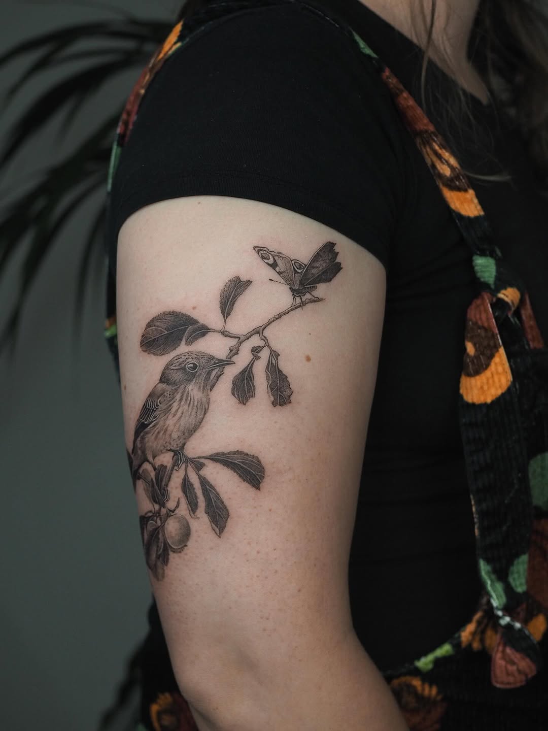 Delicate black-and-gray bird perched on a branch with leaves
