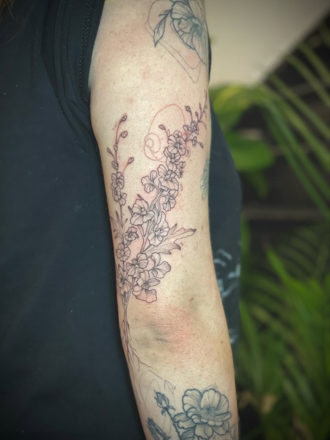 Delicate delphinium bouquet inked in fine-line botanical detail.