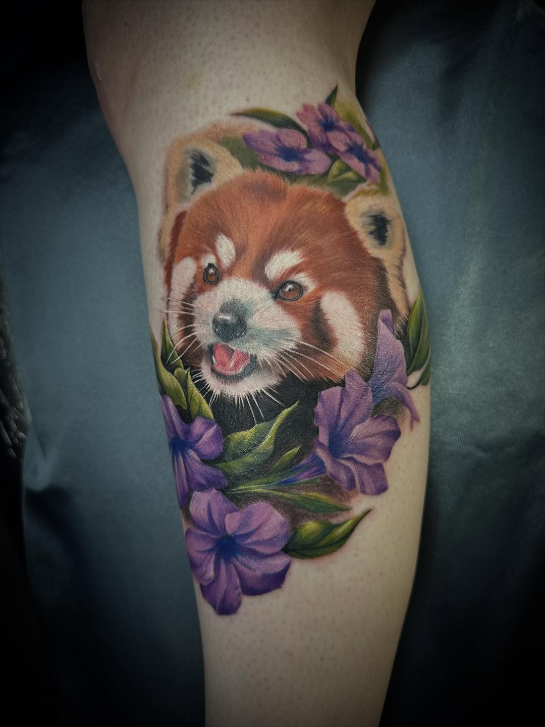 Realistic red panda tattoo