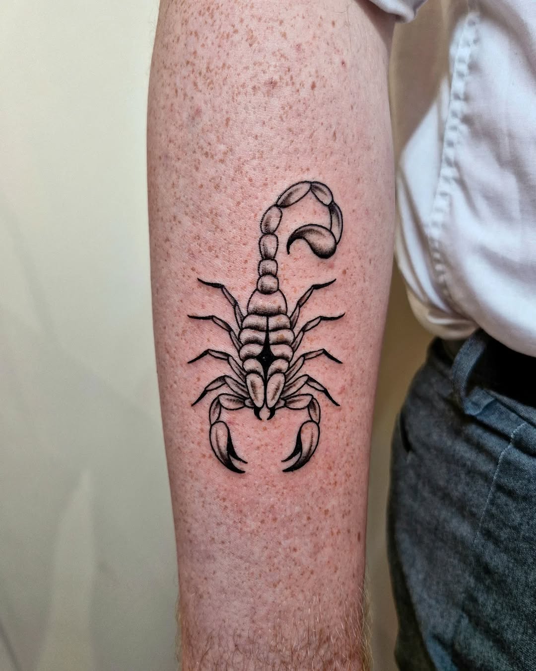 Bold black scorpion with segmented body and curved tail