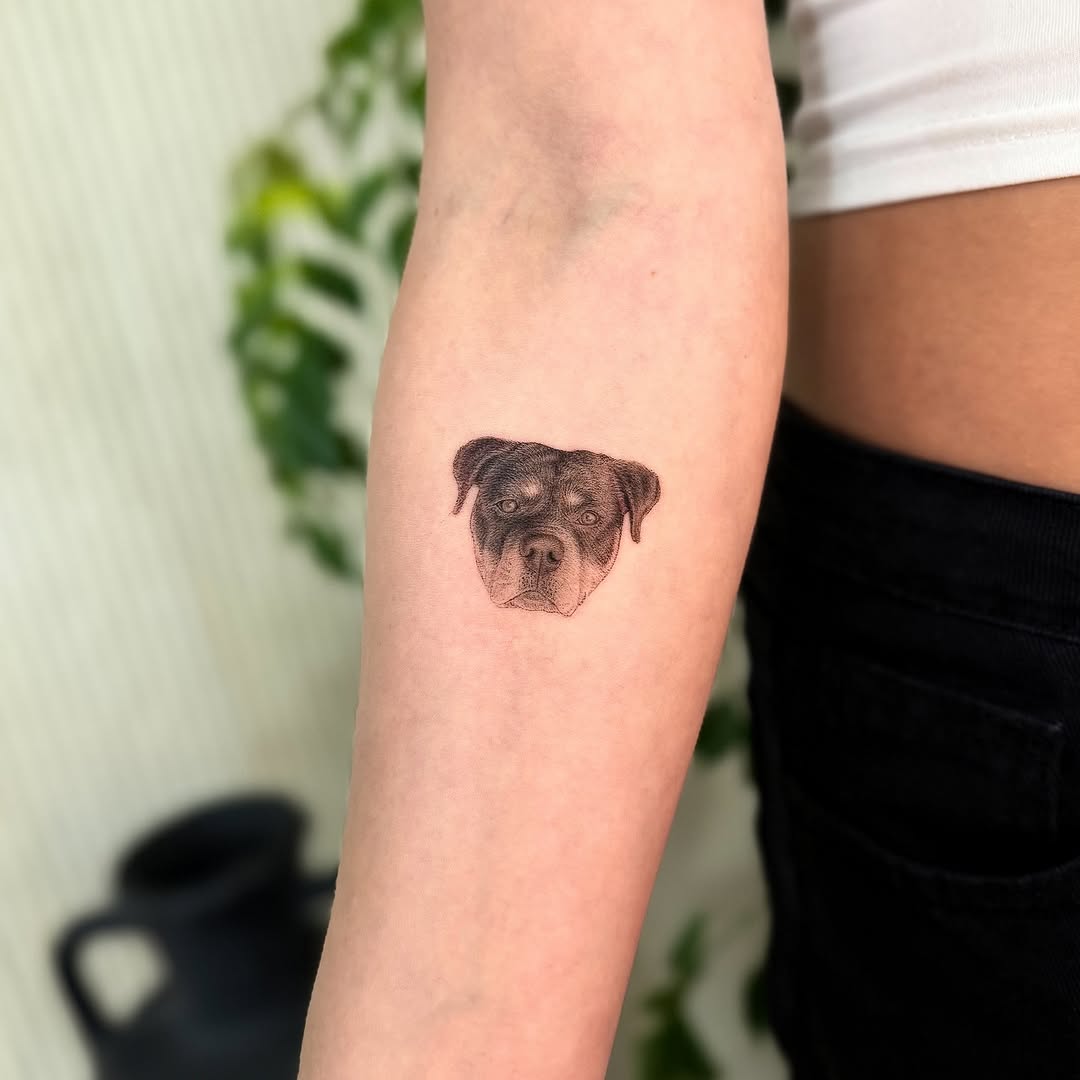 Miniature rottweiler head portrait in fine-line micro realism