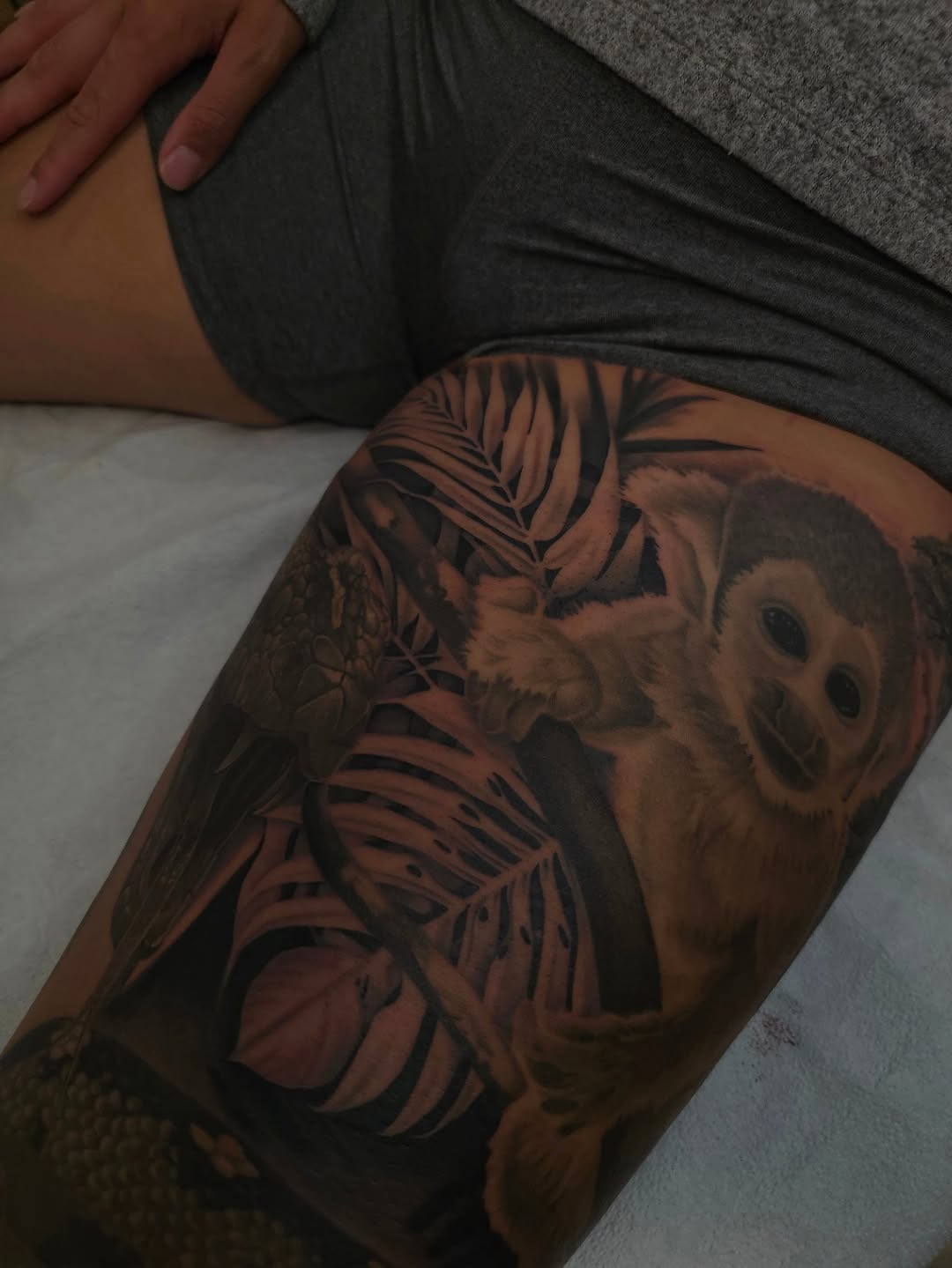 Realistic monkey portrait amid bold tropical leaves