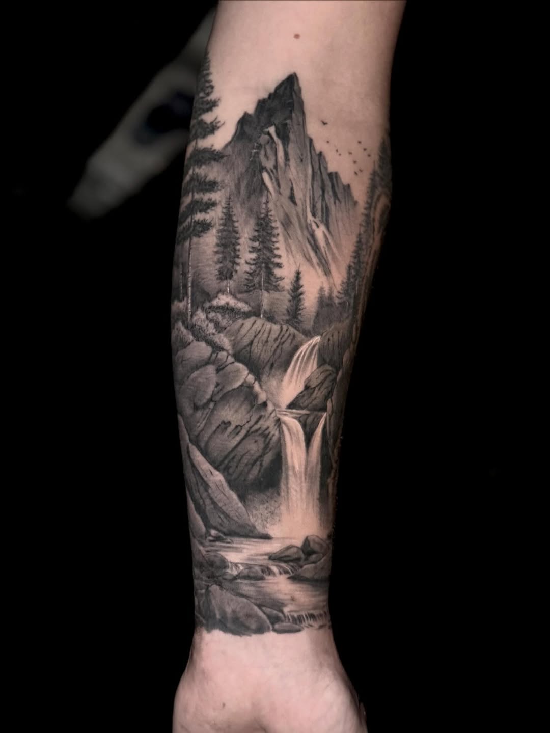 Mountainous grayscale landscape with towering pines and waterfall.