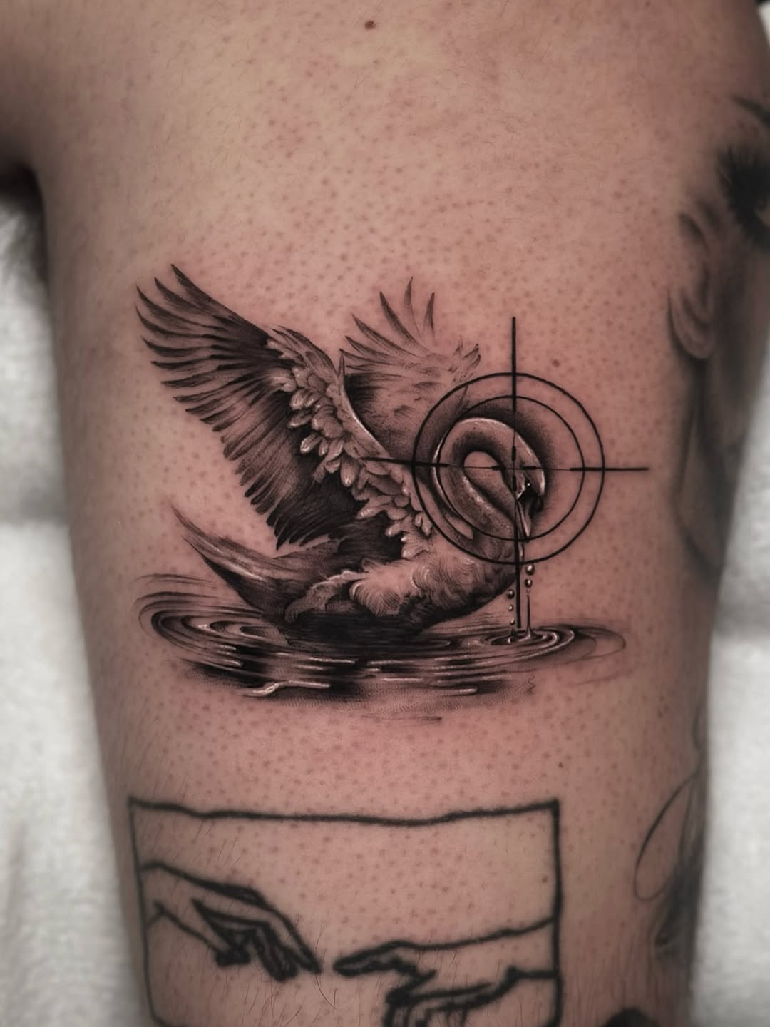 Soaring bird with detailed wings, rippling water, concentric rings