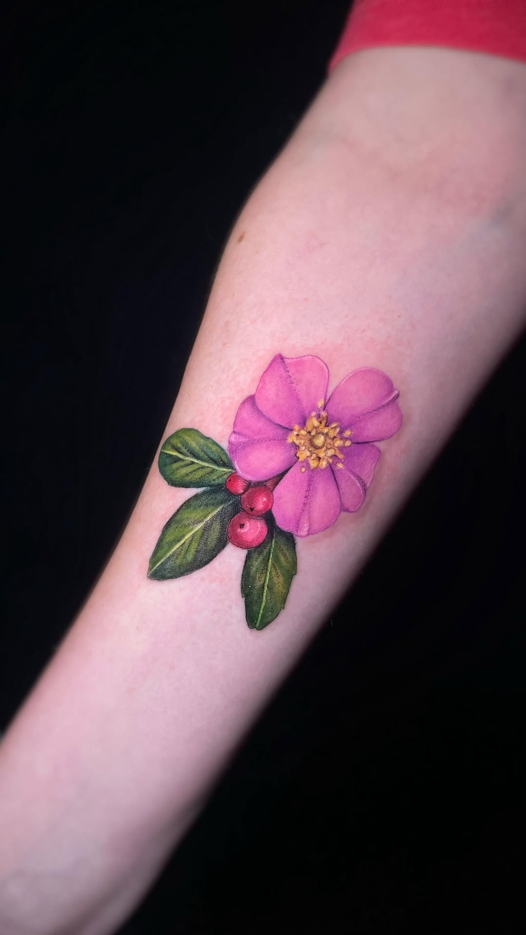 Vibrant pink botanical bloom with glossy green leaves