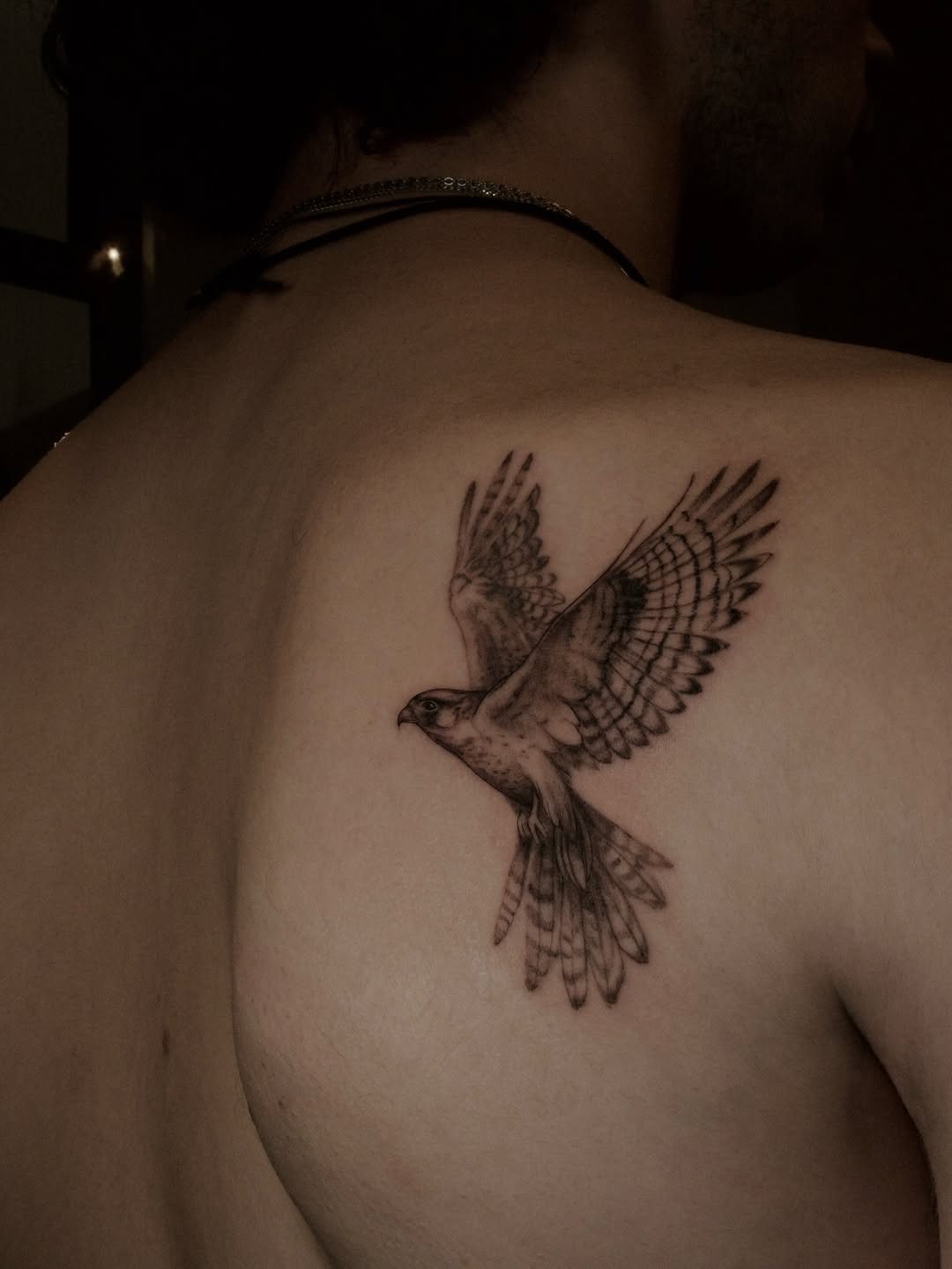 Realistic peregrine falcon in flight with detailed feathering