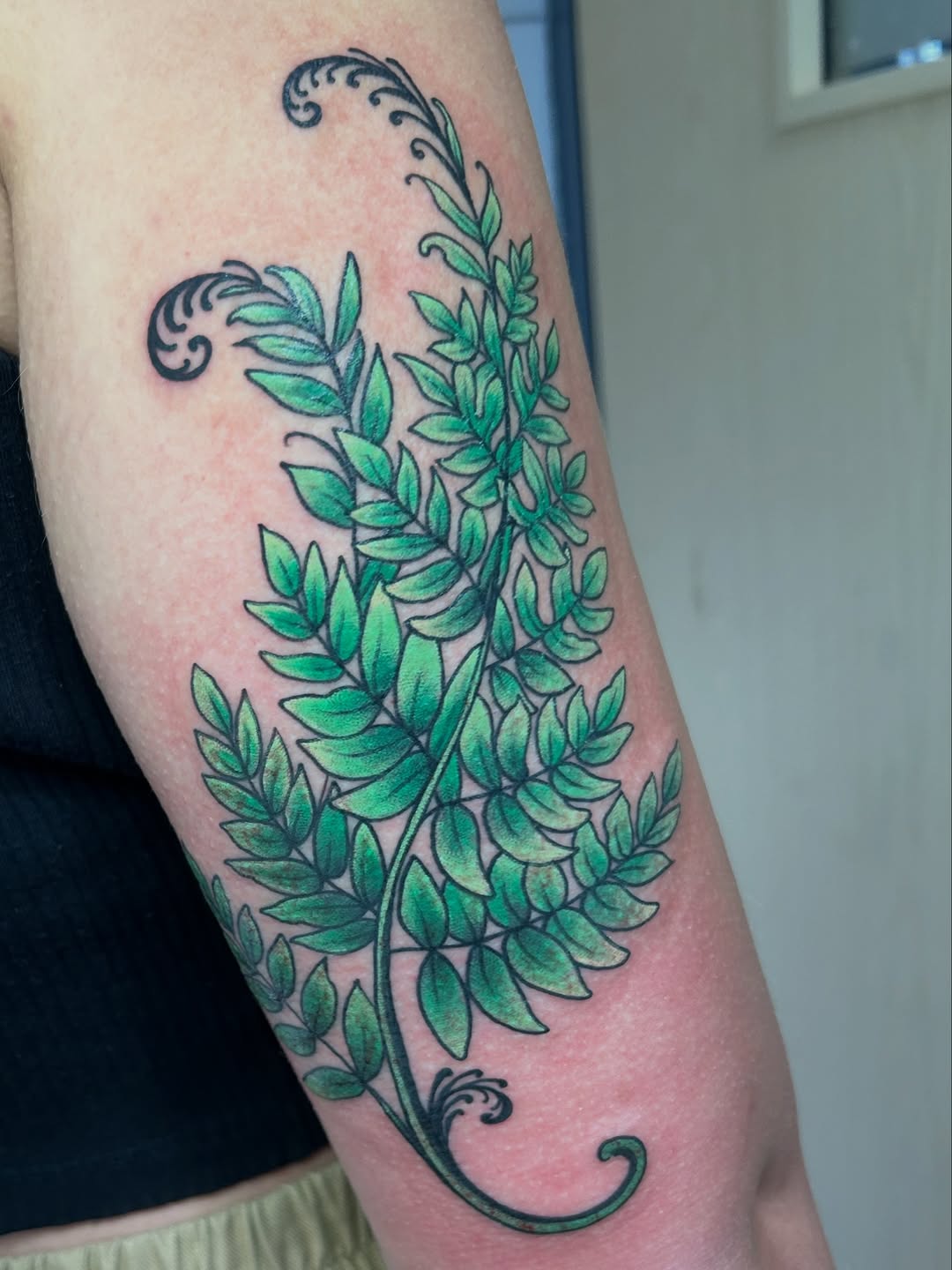 Lush green botanical vine with curling ornamental swirls.