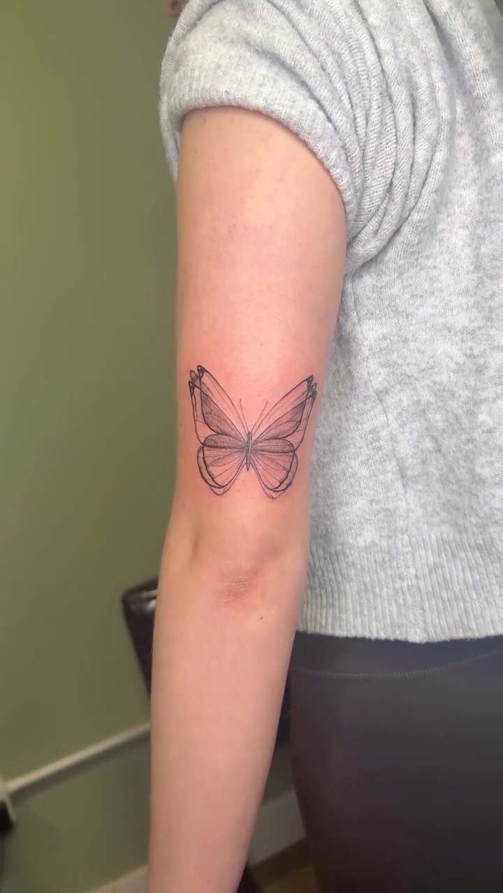 Delicate fineline butterfly outline with subtle shading
