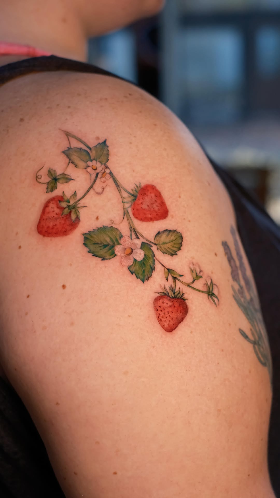 Delicate strawberry vine with red fruit and blossoms