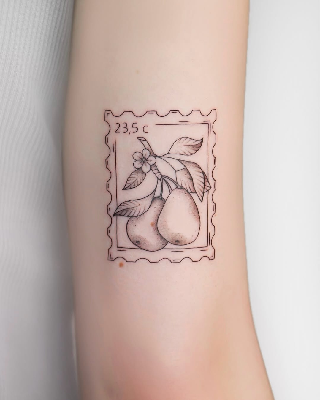 Delicate fineline botanical stamp-style pear duo tattoo.