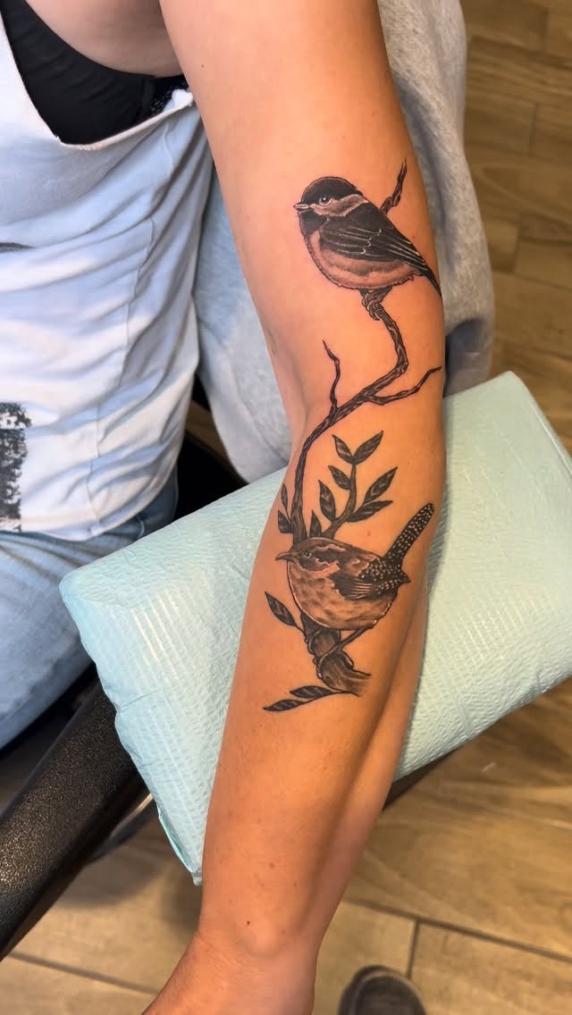 Delicate black-and-gray birds perched on a twisting branch