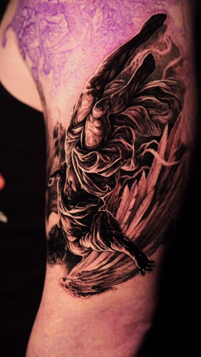 Dynamic black-and-gray bird in dramatic, feathered flight