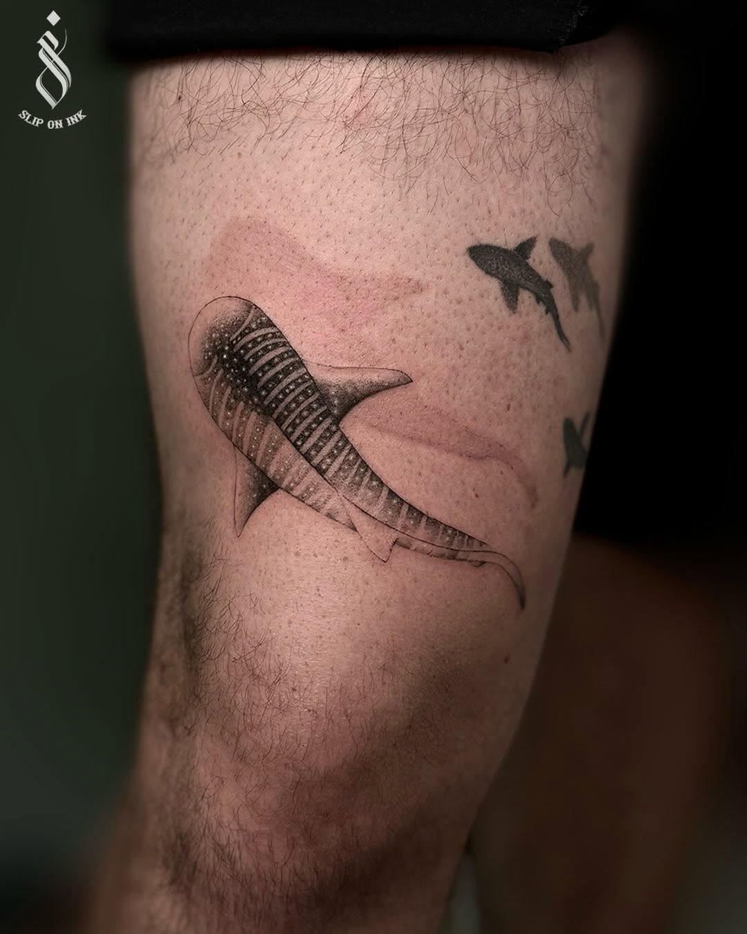 Realistic whale shark on leg with flowing contour.