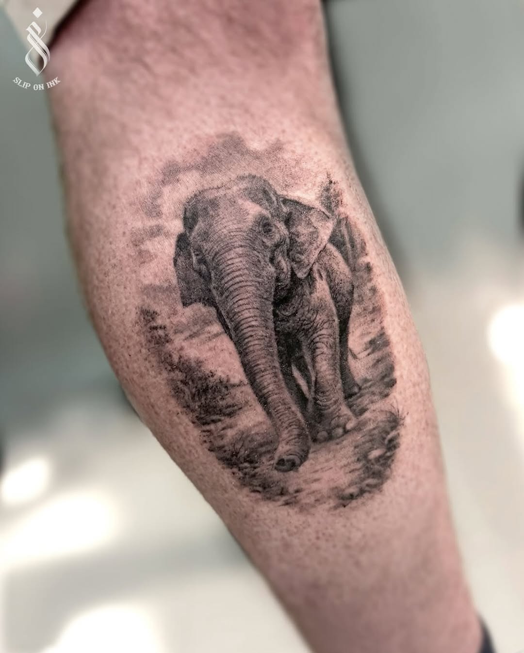 Hyper-realistic elephant in black-and-gray, meticulous shading.
