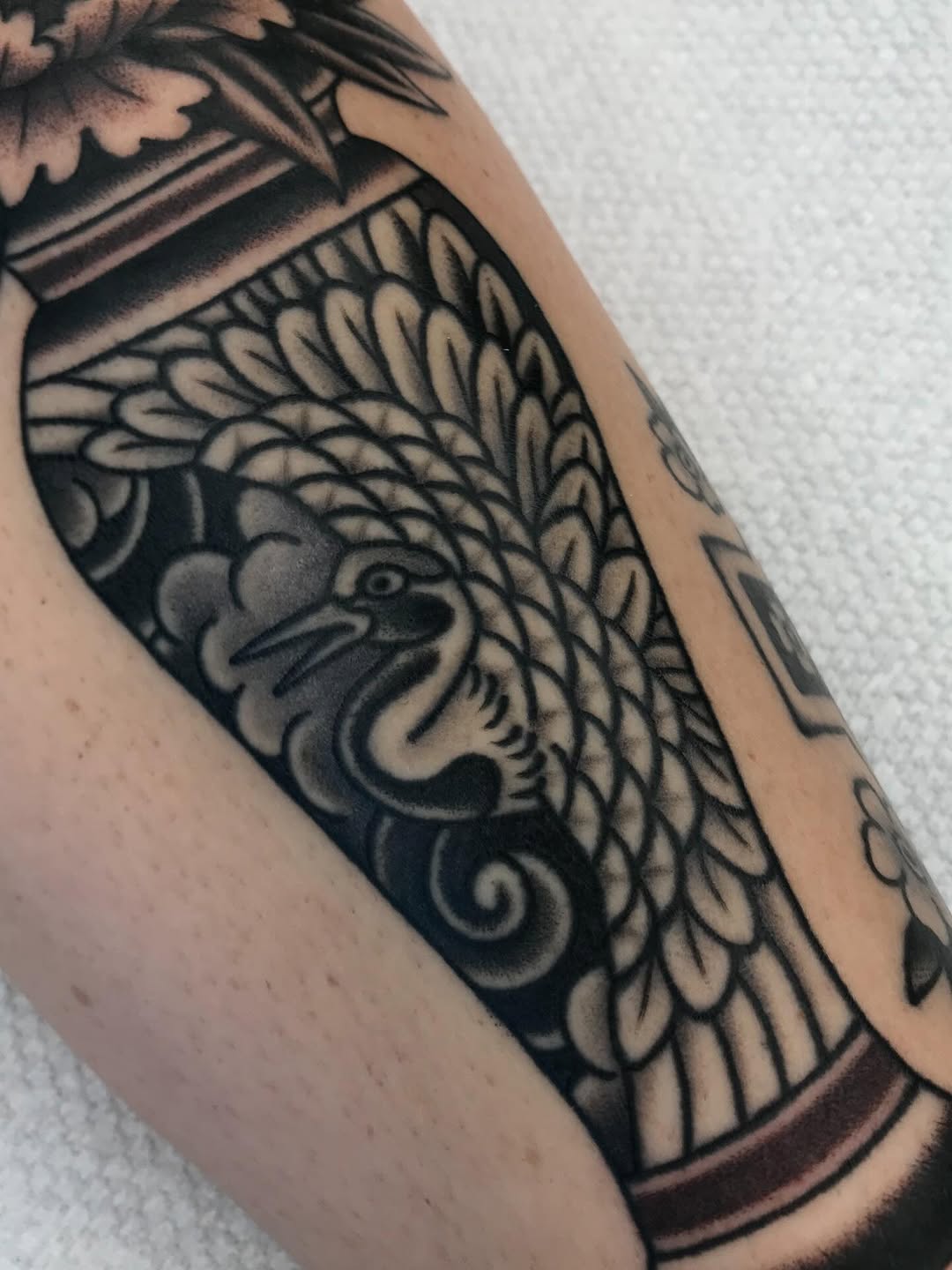 Bold blackwork bird wing with dense scalloped feathers