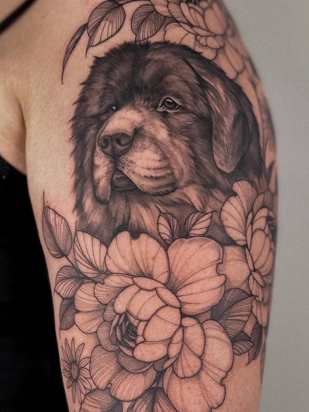 Realistic Newfoundland dog portrait surrounded by bold floral blossoms