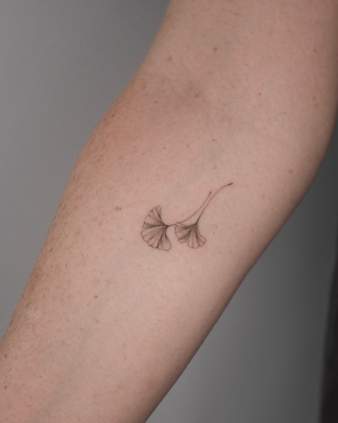 Delicate twin ginkgo leaves in fine-line artistry.