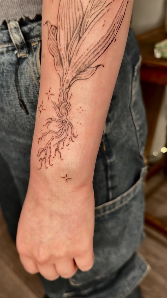 Delicate botanical linework of a root and leaves