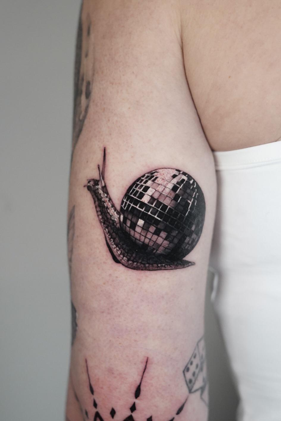 Disco snail with a checkered, mirrored shell
