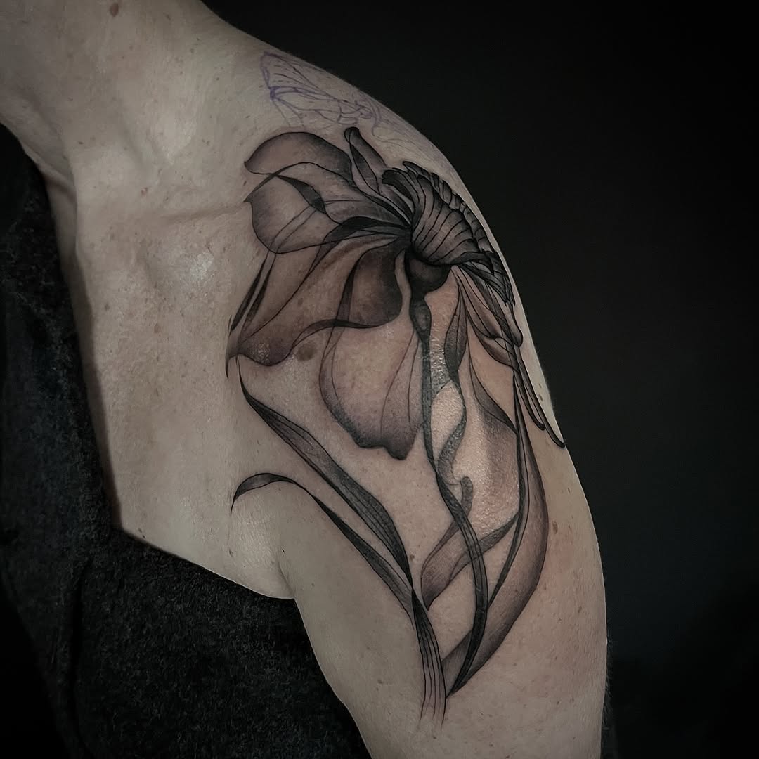 Bold narcissus bloom with flowing stems, high-contrast shading.