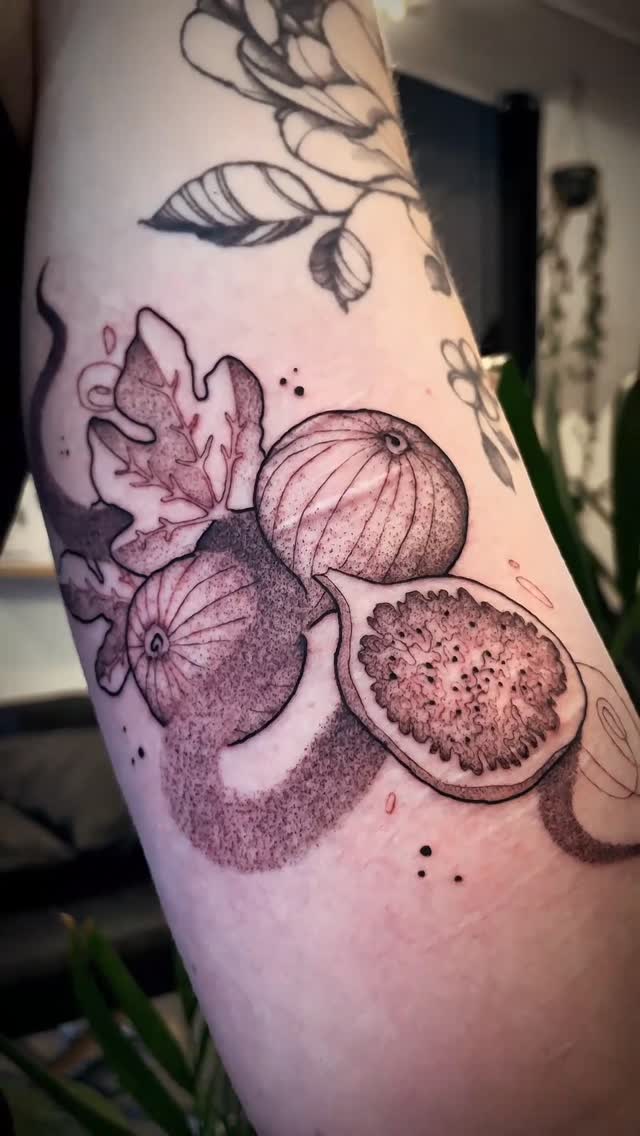 Intricate stippled fig fruit cluster with leafy vine