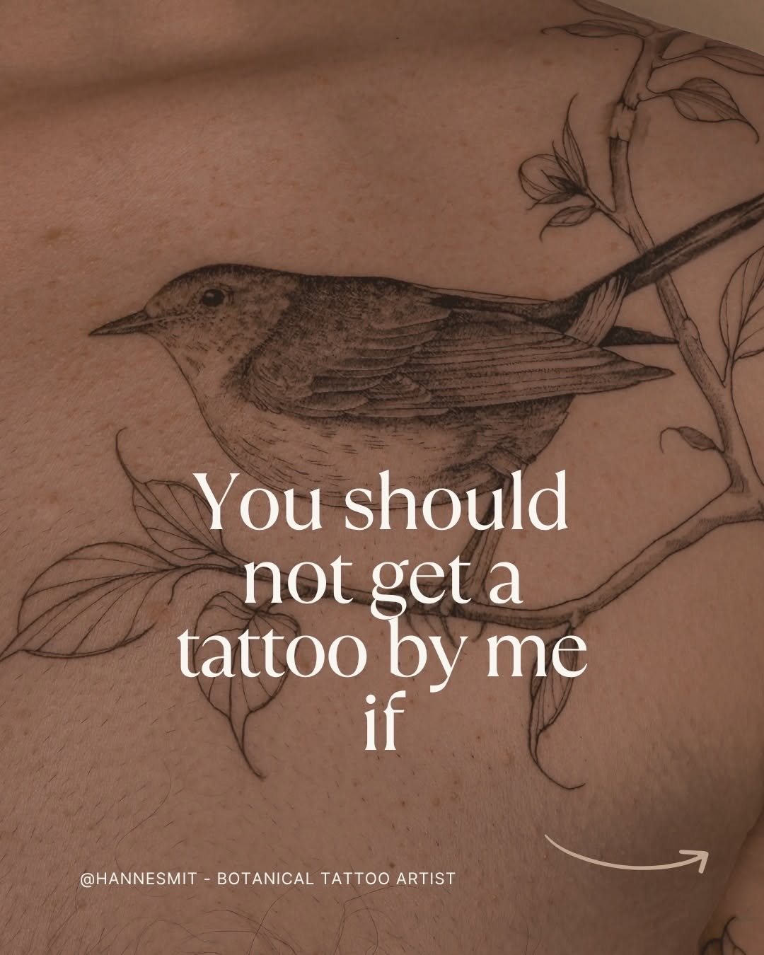 Delicate fine-line bird perched on a leafy branch.