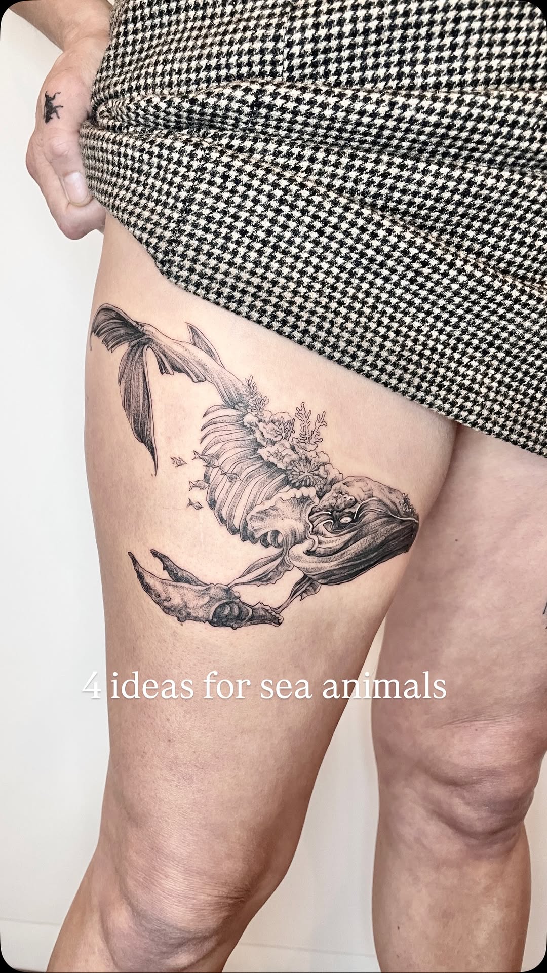 Elegant black-line seashell entwined with delicate coral.