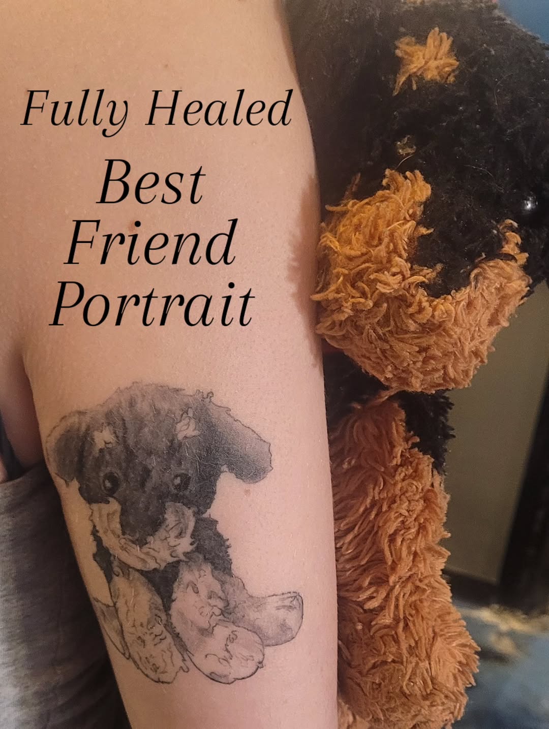 Soft black-and-gray dog portrait with gentle linework.