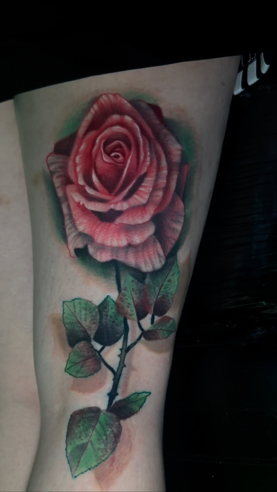 Vivid, realistic red rose with lush green leaves.