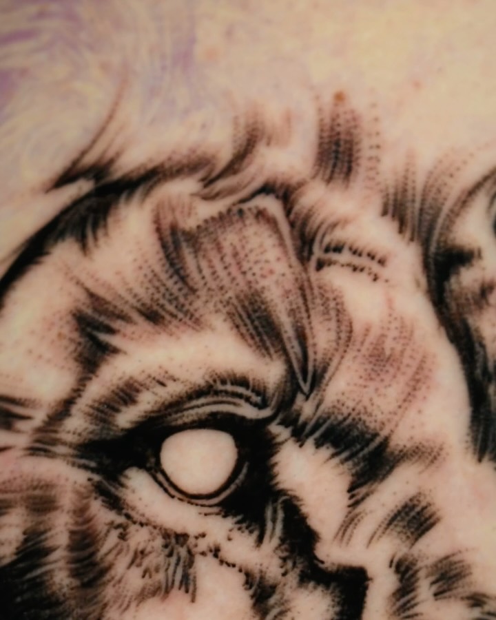 Bold lion portrait in high-contrast blackwork.