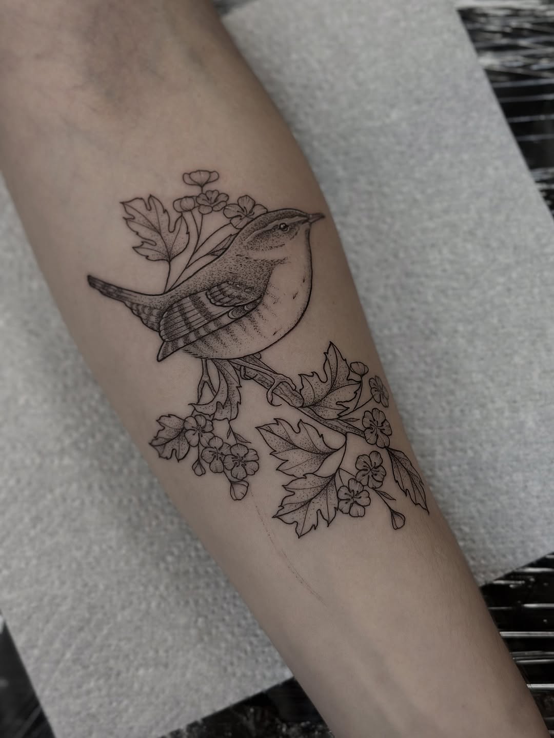 Delicate linework bird perched on cherry blossoms