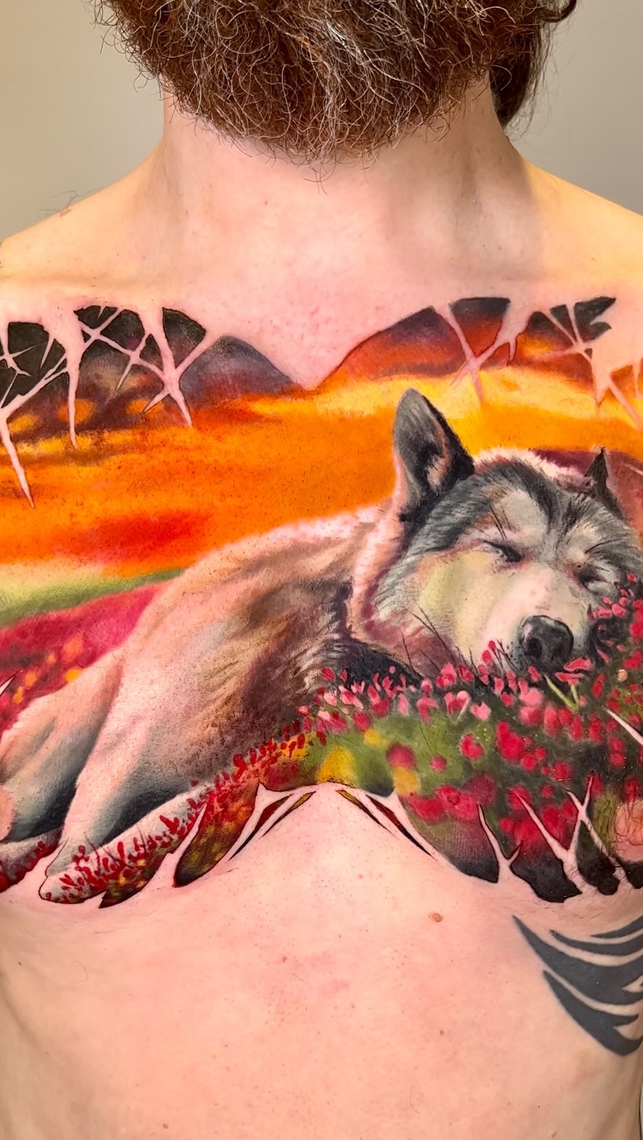 Sleeping wolf in vibrant sunset landscape back-piece
