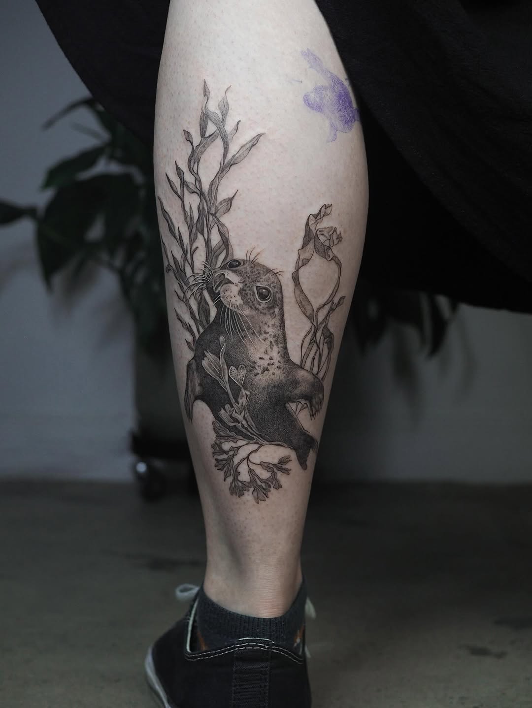 Lifelike black-and-gray seal entwined with seaweed.