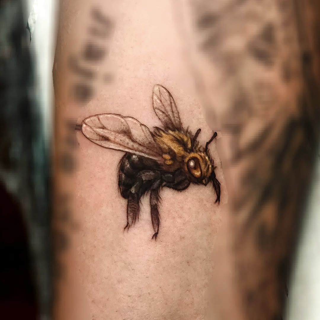 Realistic carpenter bee tattoo with translucent wings and amber eyes