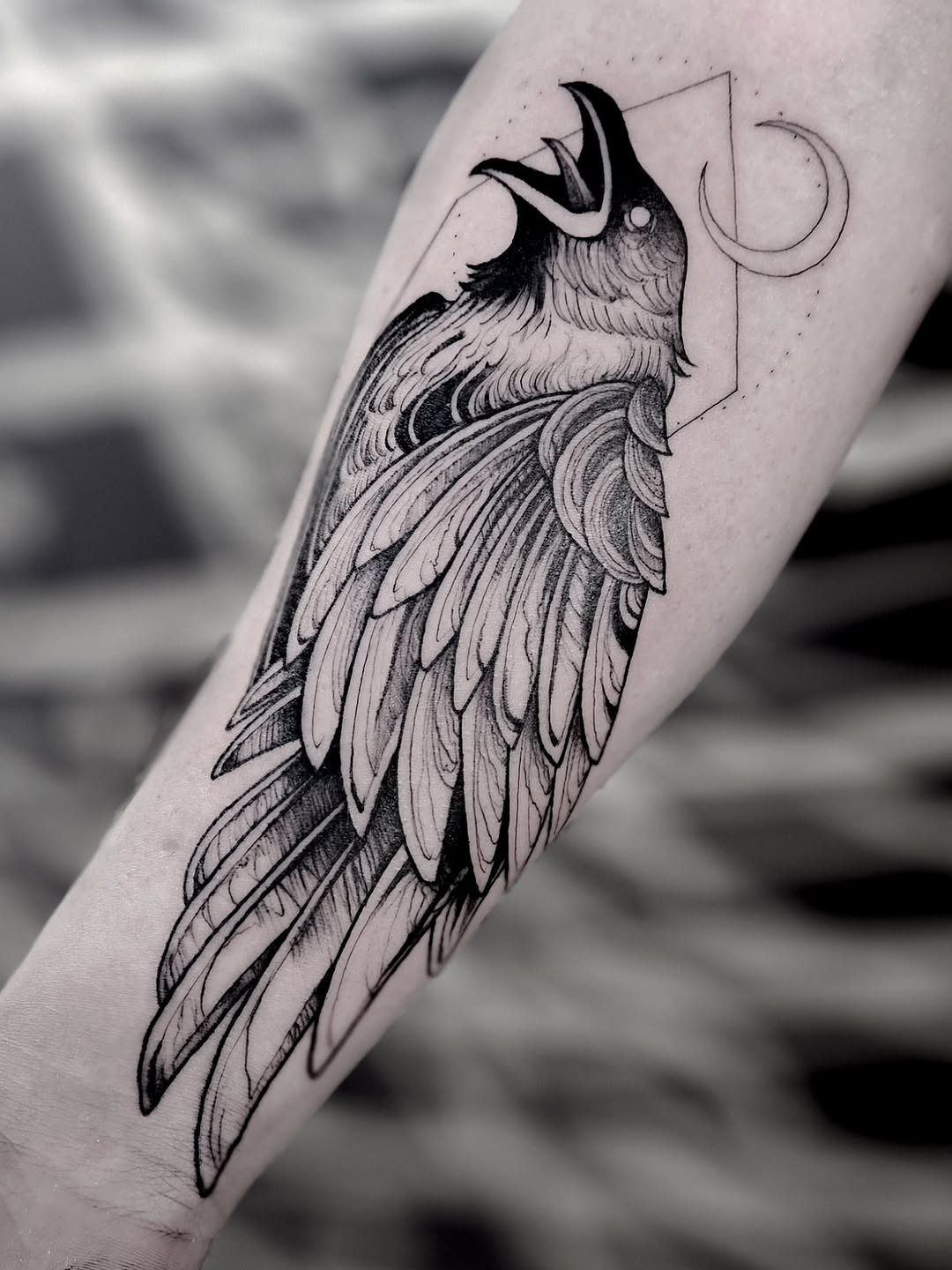 Monochrome raven with intricate feather detailing and crescent moon