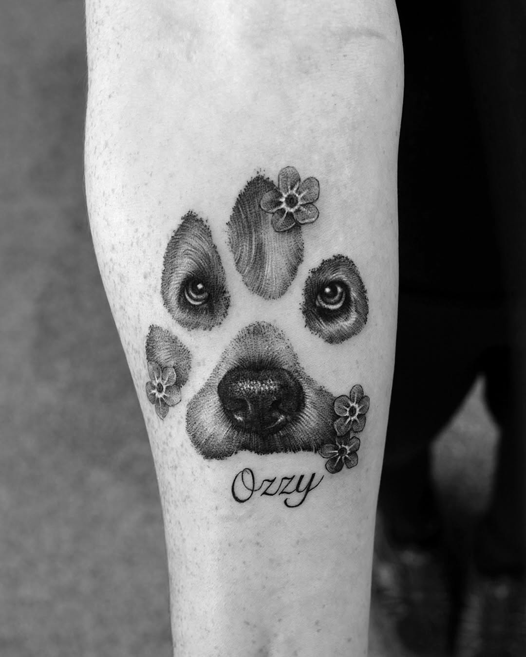 Monochrome canine portrait with nose, eyes, and blossoms.