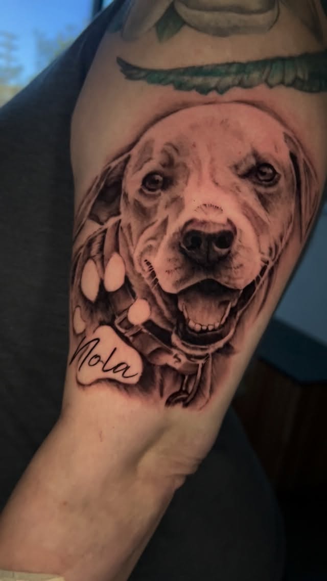 Hyper-detailed black-and-gray lab portrait named Nola