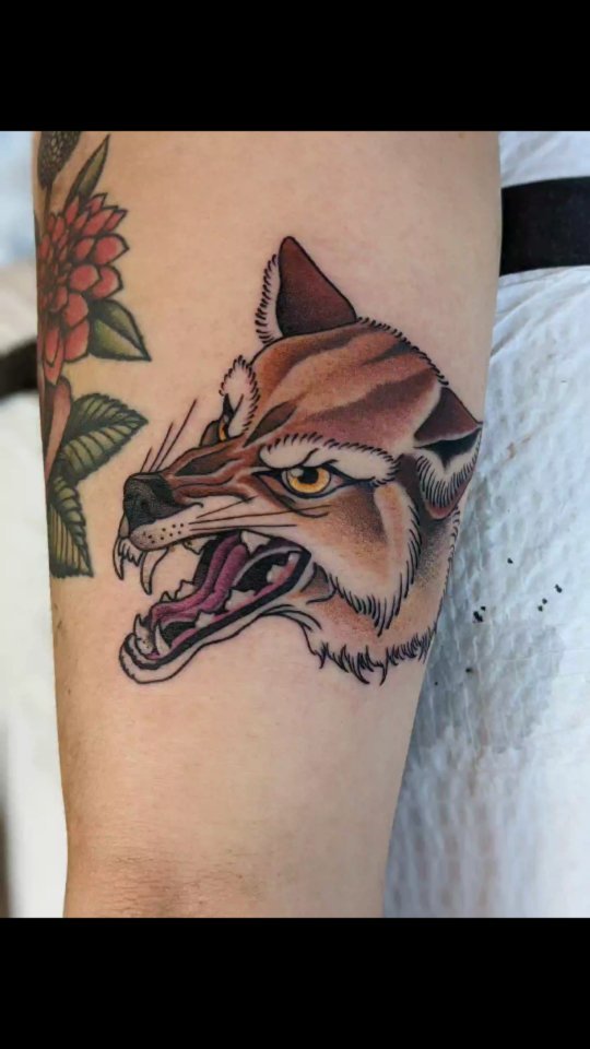 Bold neo-traditional snarling coyote head with vivid shading