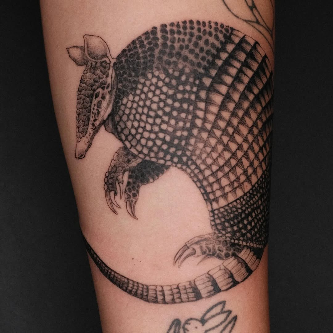 Intricate blackwork armadillo with dotted shell texture