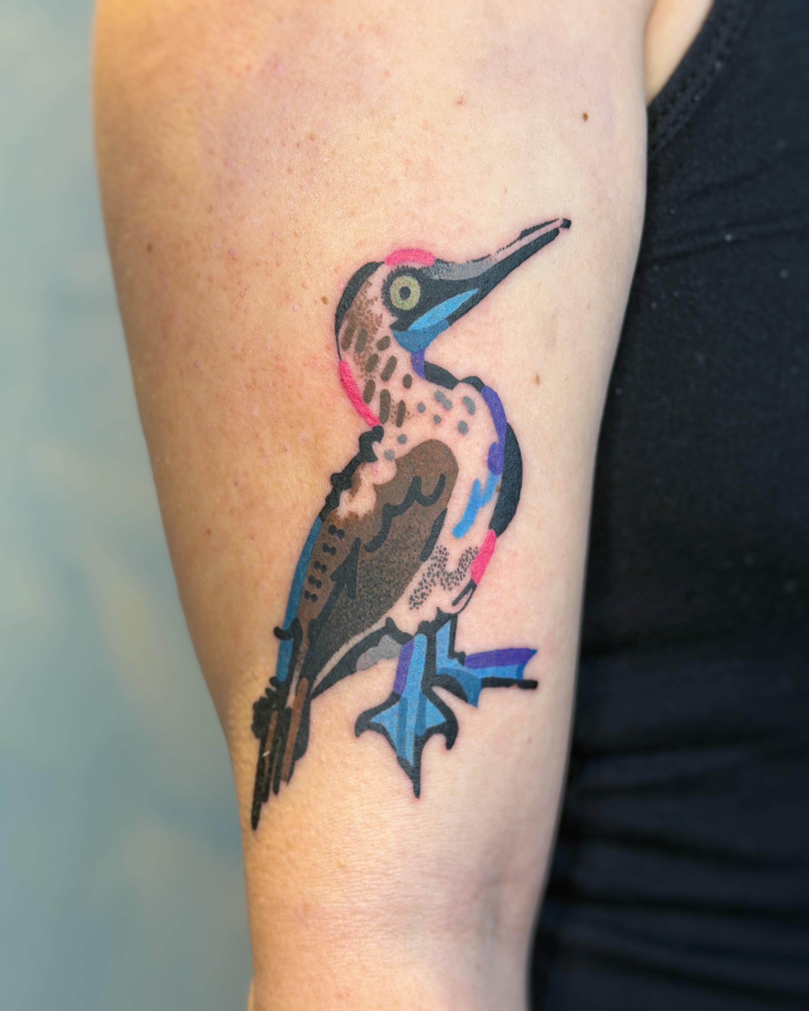 Bold neo-traditional booby bird with vivid color blocks