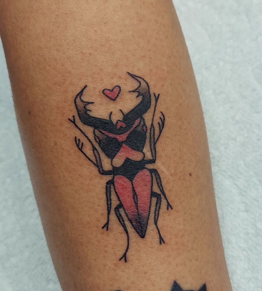 Cute cartoon stag beetle hugging, with a red heart