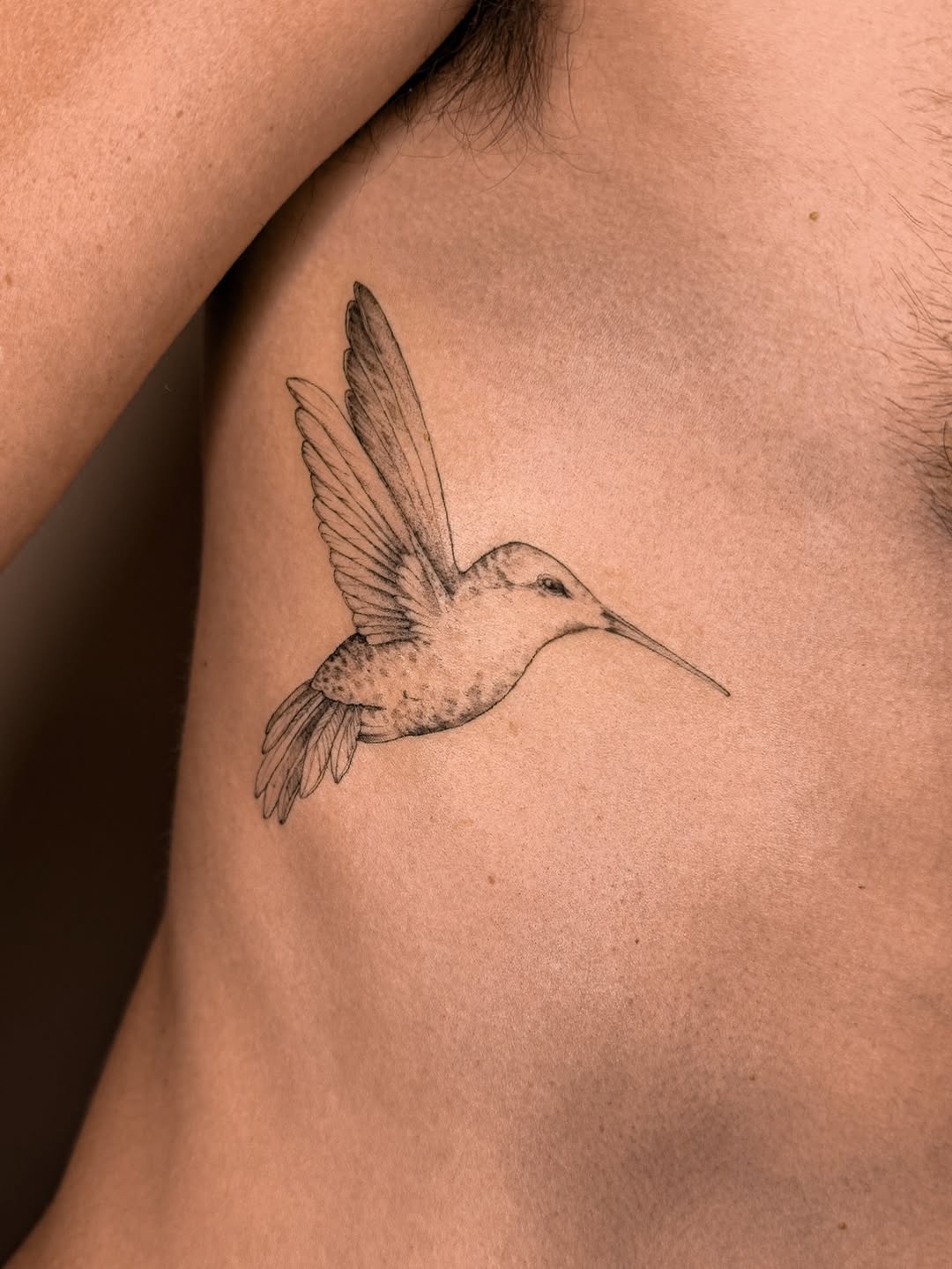 Delicate fine-line hummingbird in mid-flight on rib