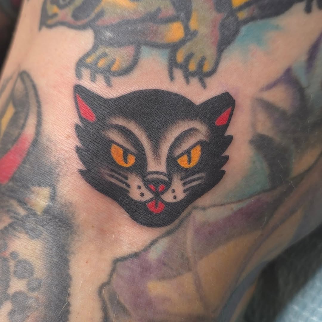Bold black cat head with piercing yellow eyes