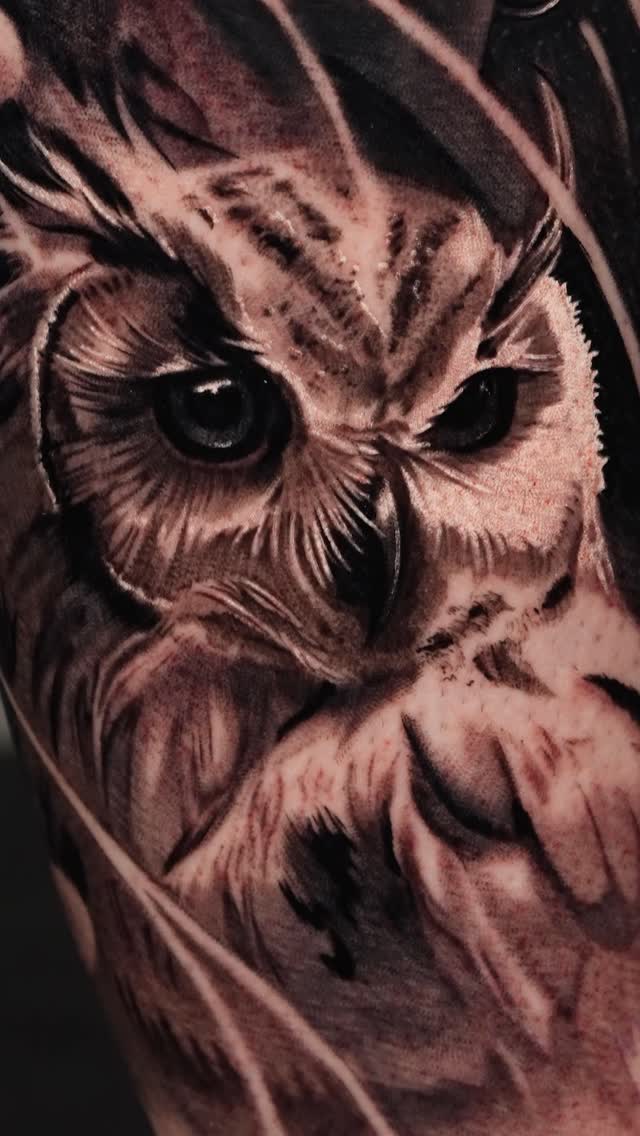 Intense black-and-gray owl portrait with piercing gaze