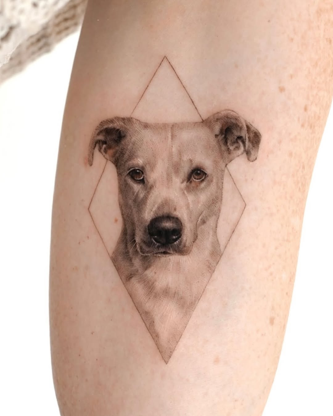 Photorealistic dog head framed by a geometric diamond