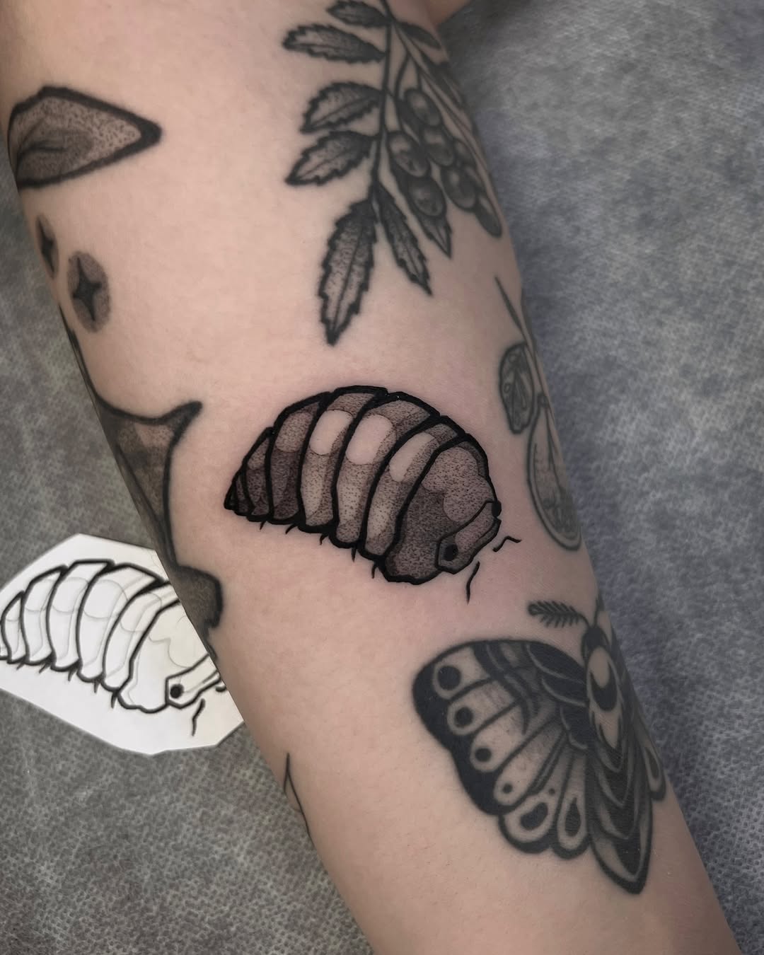 Bold blackwork isopod with segmented plates and dot shading