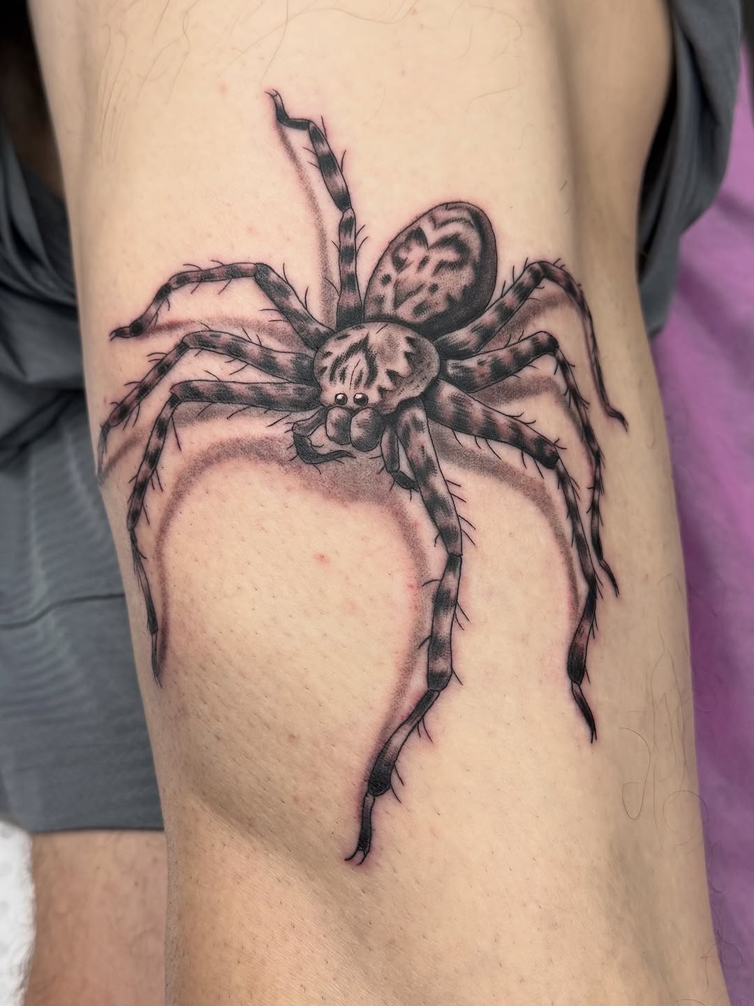 Hyper-detailed black-and-gray huntsman spider, dramatic leg realism.